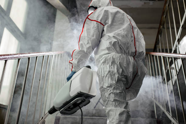 Mold Removal for HVAC Installations in Davenport, IA